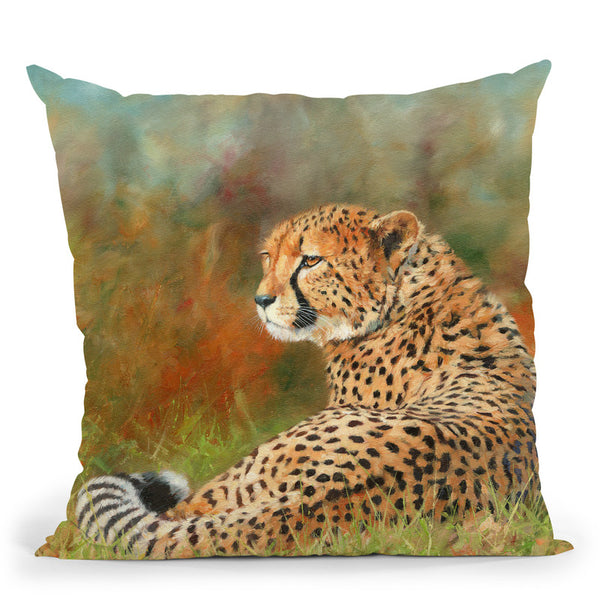 Cheetah Grass Throw Pillow By David Stribbling