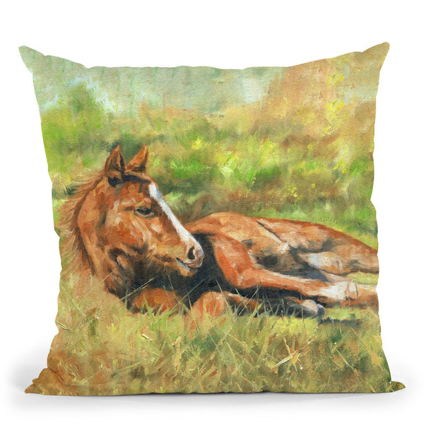Foal Laying Down Throw Pillow By David Stribbling