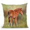 Foal Throw Pillow By David Stribbling