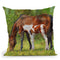 Horse And Foal Grazing Throw Pillow By David Stribbling