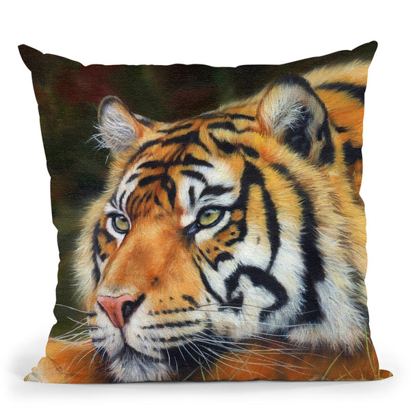 Sumatran Tiger Resting Throw Pillow By David Stribbling