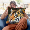 Sumatran Tiger Resting Throw Pillow By David Stribbling
