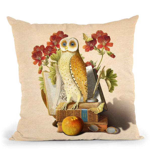 Apprentice Owl Throw Pillow By Diogo Verissimo