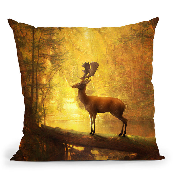 Serenity Throw Pillow By Diogo Verissimo