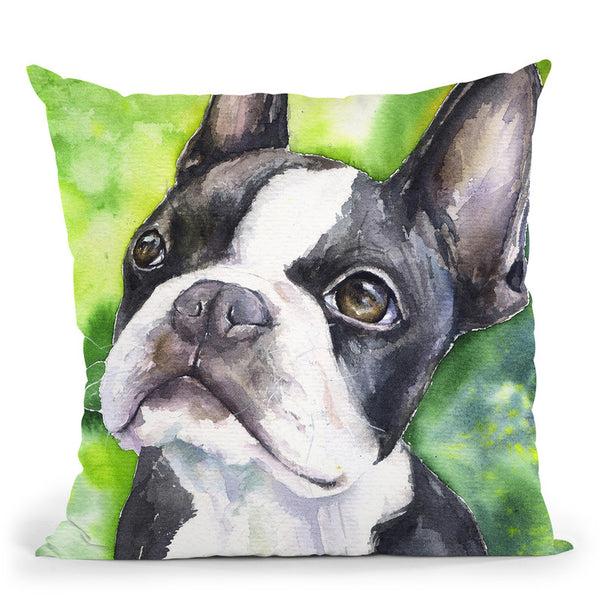 Boston Terrier Ii Throw Pillow By George Dyachenko