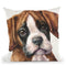 Boxer Puppy Ii Throw Pillow By George Dyachenko
