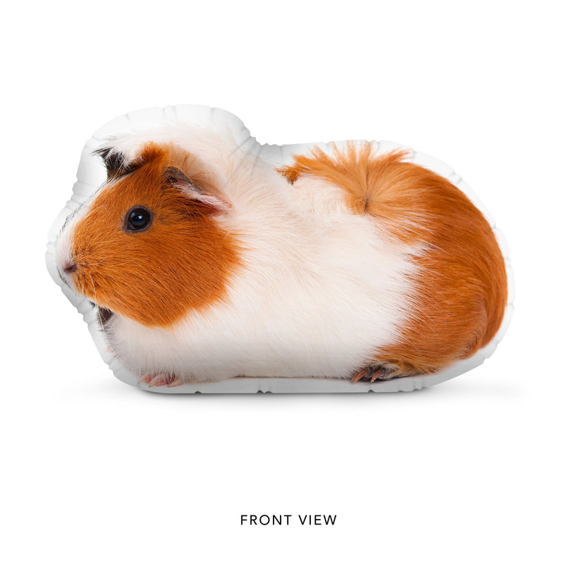 Custom Guinea Pig Pillow