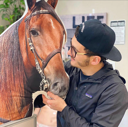 Custom Horse Shaped Pillow