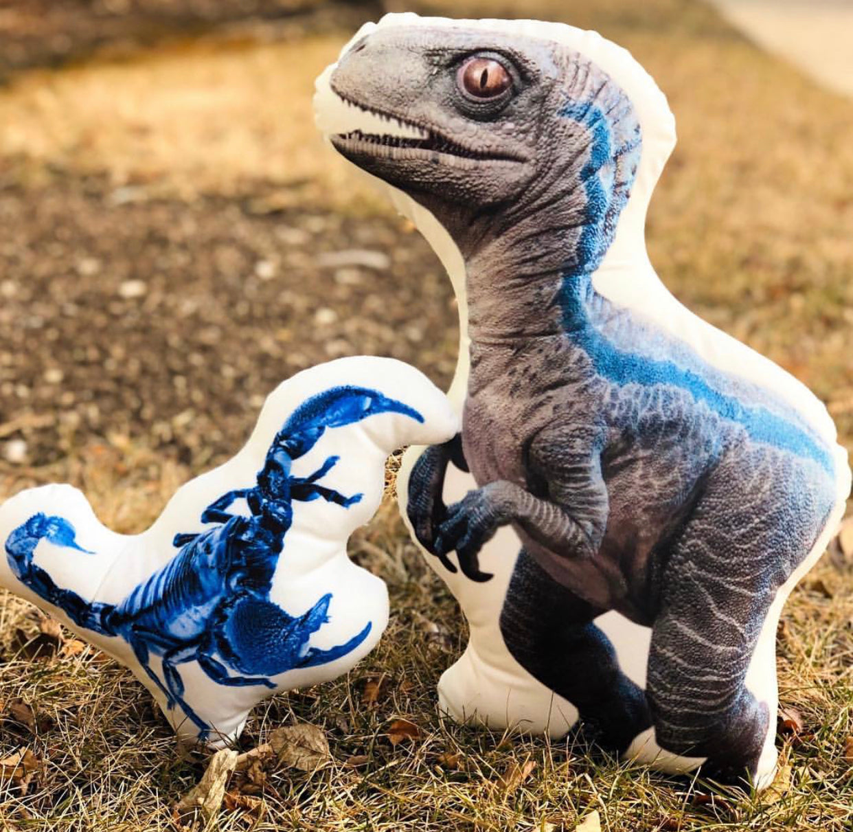 Custom Anything Shaped Pillow