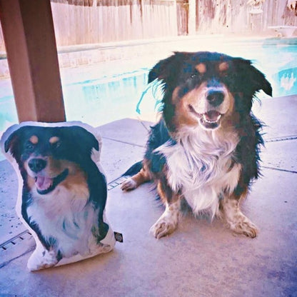 Custom Australian Shepherd Shaped Dog Pillows - All About Vibe