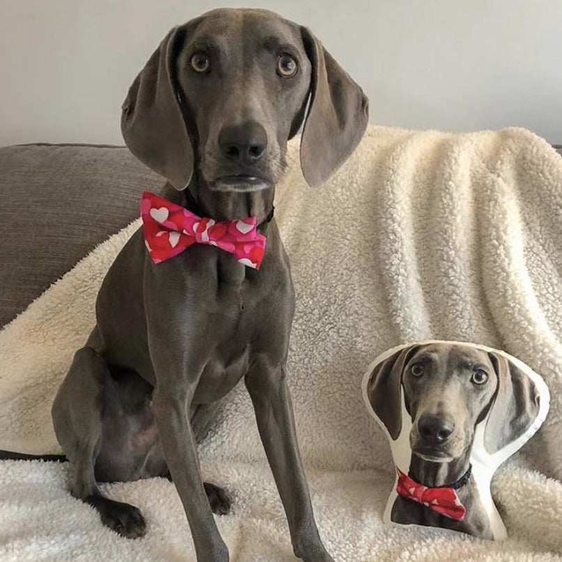 Weimaraner Custom Shaped Pillow