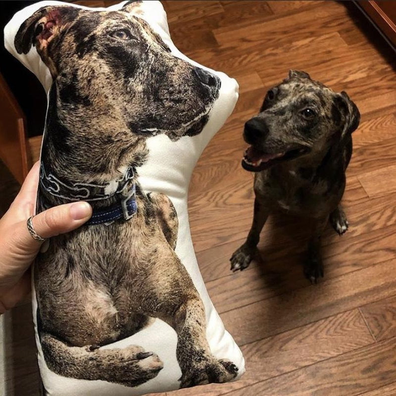 Catahoula Custom Dog Pillow - All About Vibe
