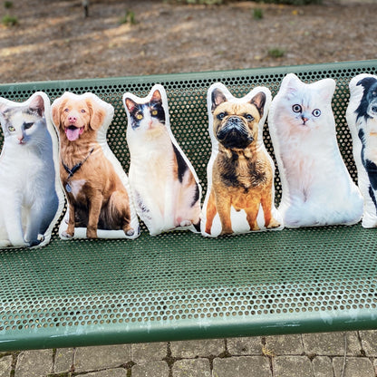 Custom Pet Pillow - All About Vibe