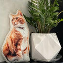 Custom Shaped Cat Pillow