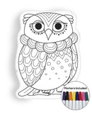 Owl II coloring pillow Made In USA