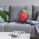 Raspberry Throw Pillow By All About Vibe
