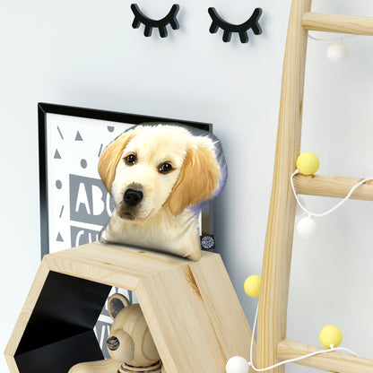 Custom Digital Illustration Pillow