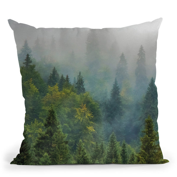 Forest Little Pitti Throw Pillow By Little Pitti