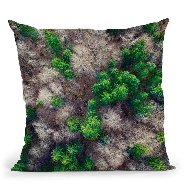 Forest Throw Pillow By Little Pitti