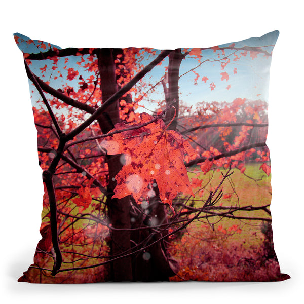 Forest Throw Pillow By Mark Ashkenazi