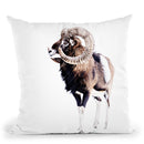 Scandi White Ram Throw Pillow By Monika Strigel