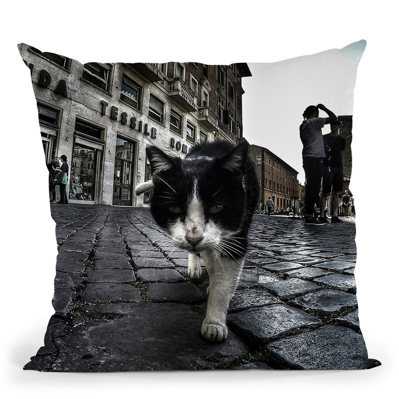 Street Cat Throw Pillow By Niklas Gustafson