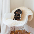 Dachshund Black Throw Pillow By All About Vibe