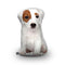 Jack Russel Throw Pillow By All About Vibe