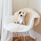 Jack Russel Throw Pillow By All About Vibe