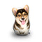 Corgi Black Throw Pillow By All About Vibe