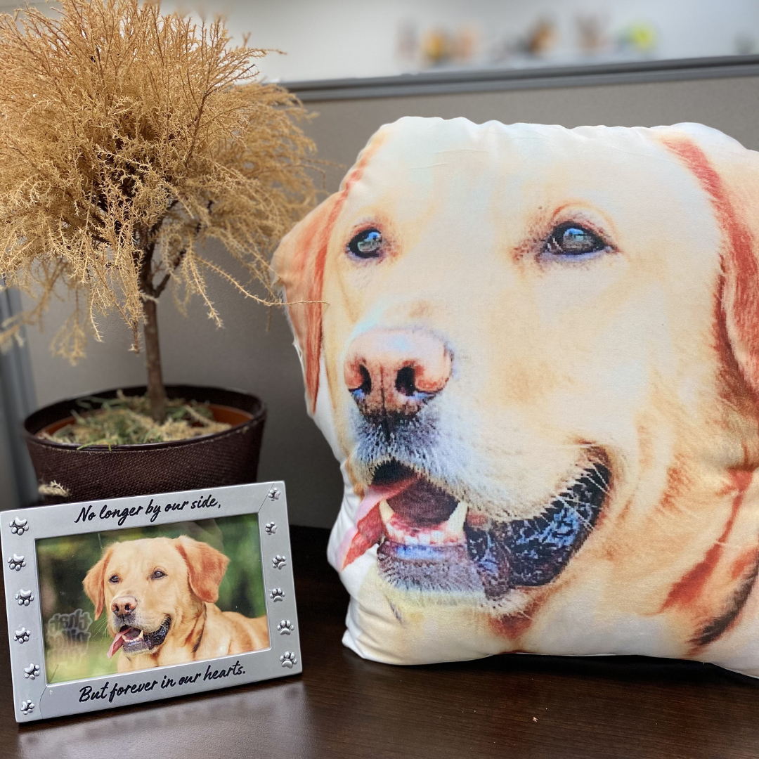 Custom Shaped Dog Pillow