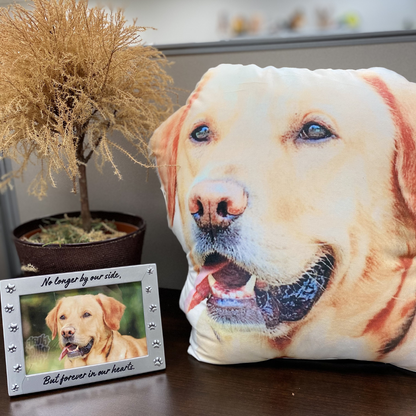Custom Shaped Dog Pillow
