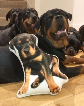 Almohada Personalizada con Forma de Rottweiler
