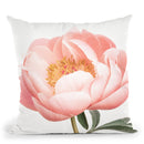 Coral Throw Pillow By Sisi And Seb