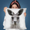 Kangaroo Throw Pillow By Sisi And Seb