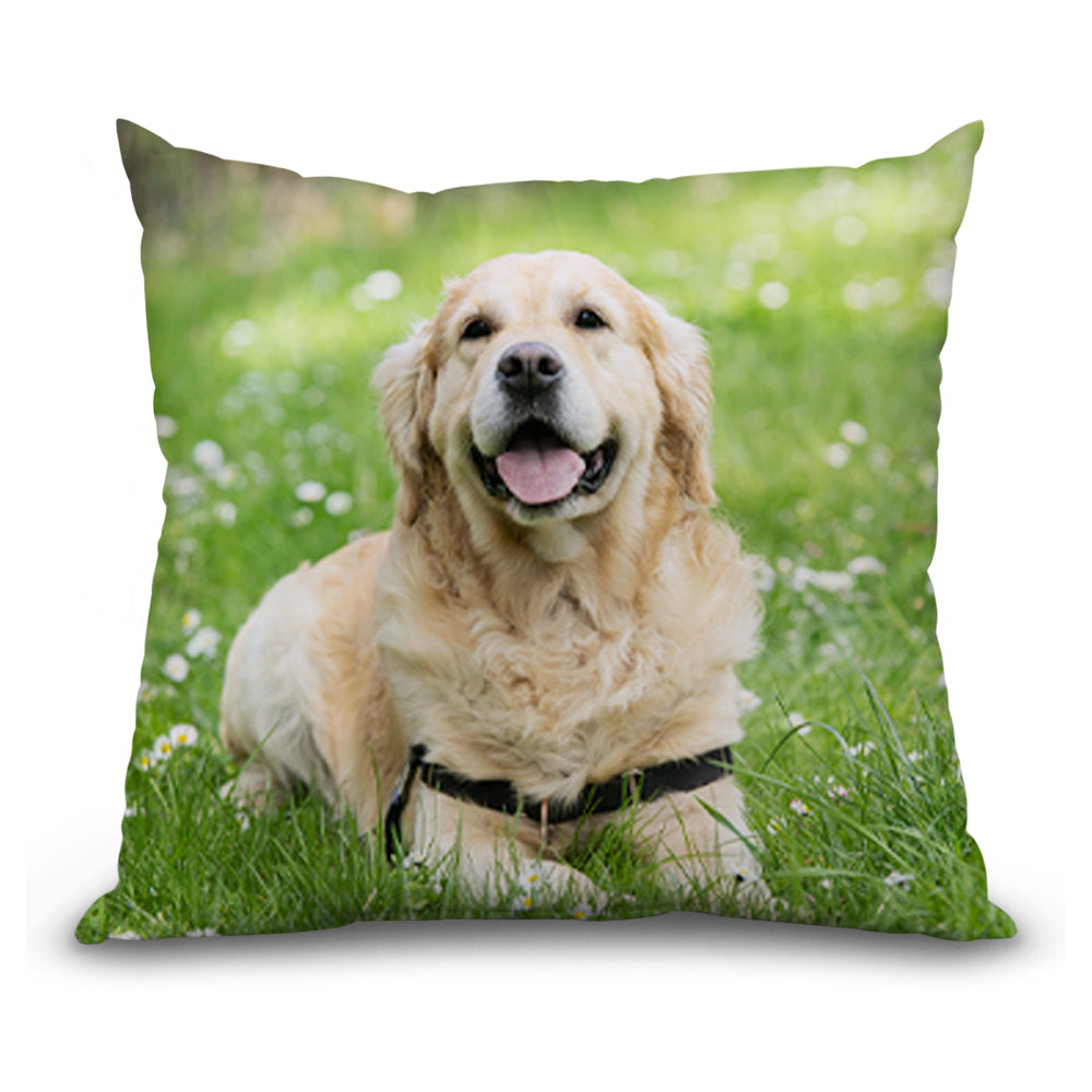 Custom Photo Pillows Take Your Own Personalized Photo Pillow Now