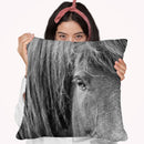 B&W Horses Vi Throw Pillow By World Art Group