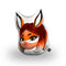 Rena Rouge Head Throw Pillow By Miraculous