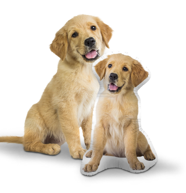 LifeLike Pillows All About Vibe