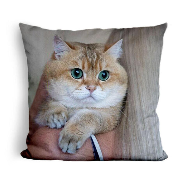 Hosico Just Hang In Thereuare Throw Pillow