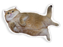 Hosico Getting Belly Rubsaped Throw Pillow