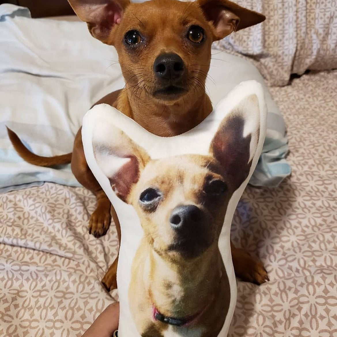 Miniature Pinscher Custom Shaped Pillow